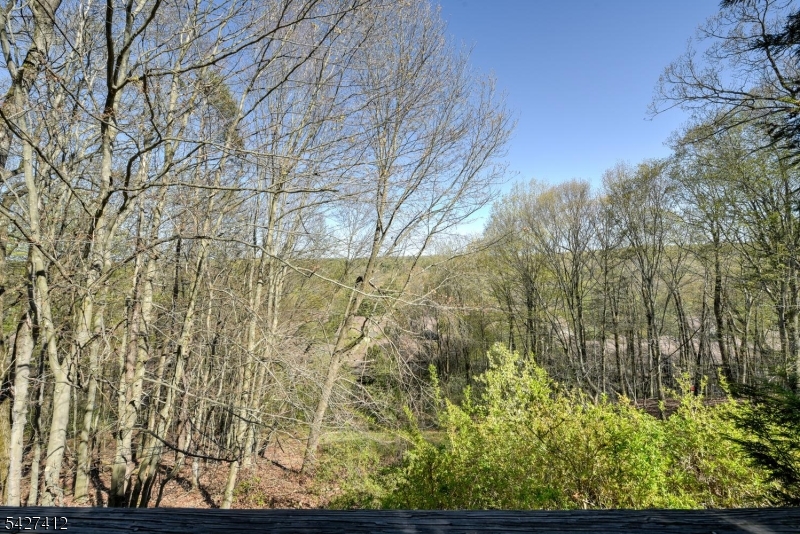 Bald Eagle Village - Residential