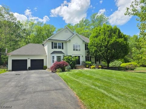 8 Andrea Ct Mount Olive Twp. NJ 07828