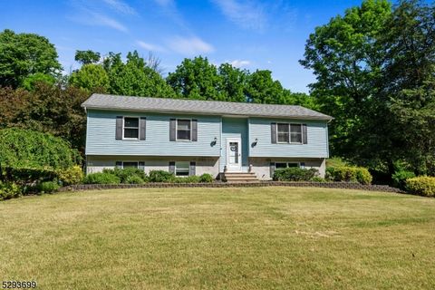 4 River View Dr, Hardwick Twp.,  07825 - #: 3907044