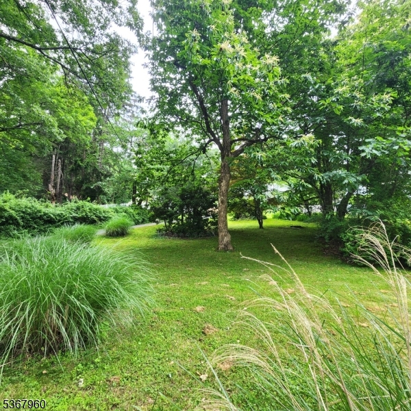 Lake Mohawk - Residential