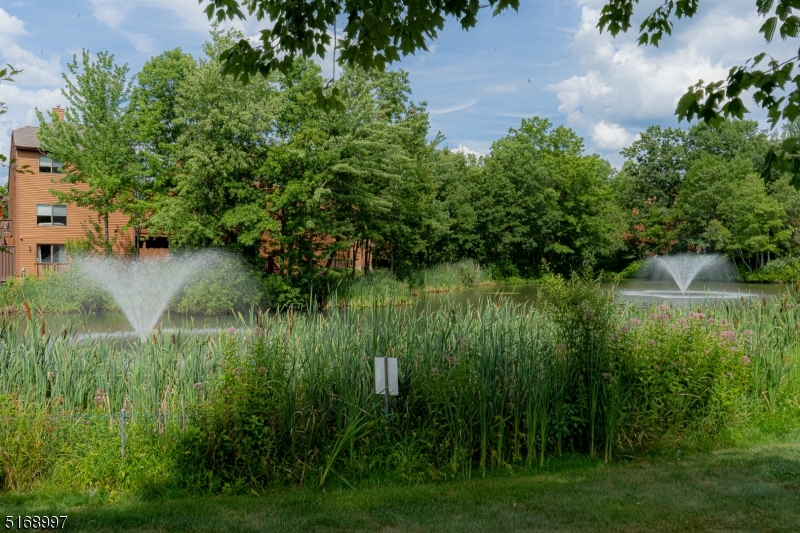 Townsquare Village - Residential