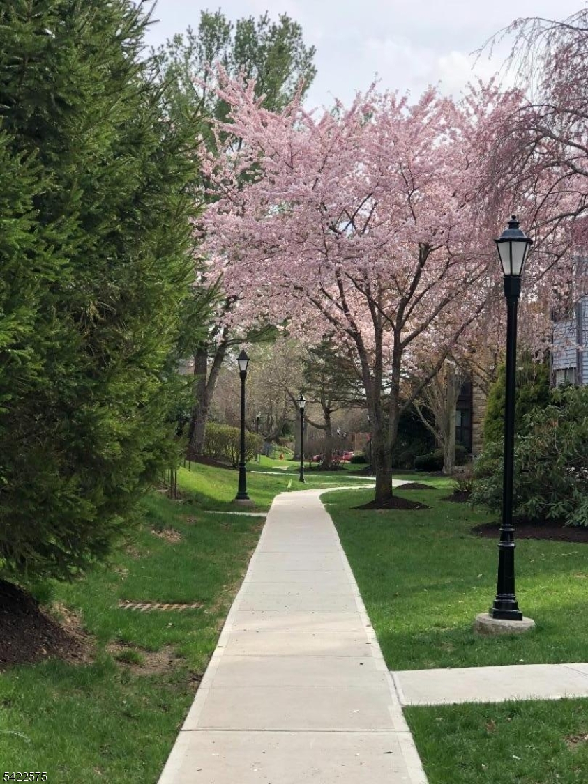 Development - Residential