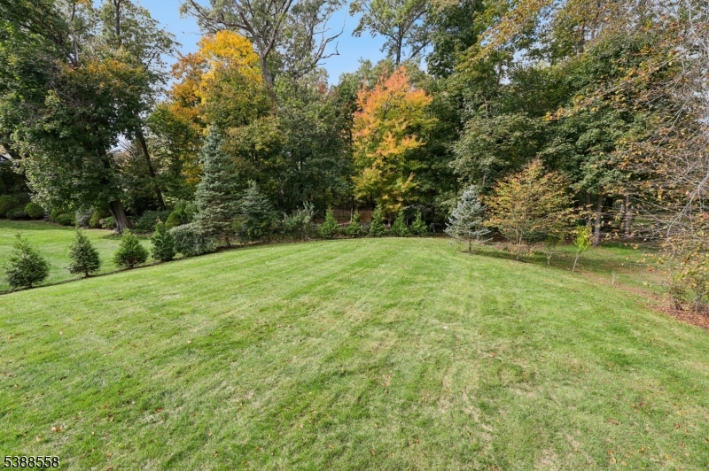 The Hill - Residential