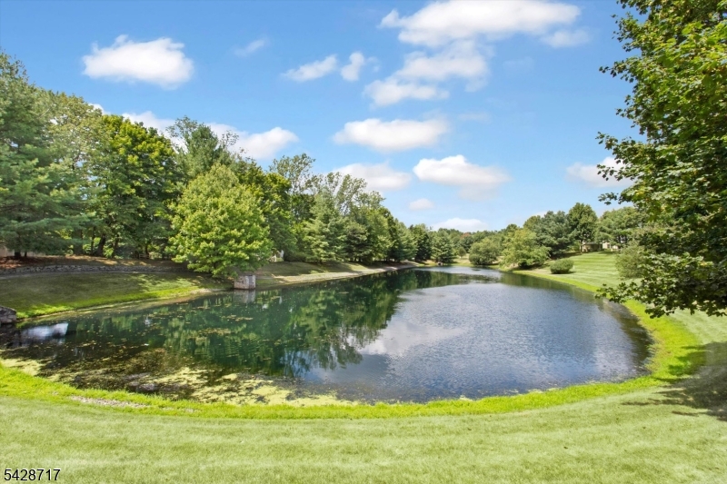 Four Seasons - Residential
