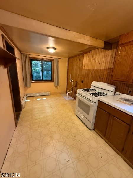 Cupsaw Lake - Residential