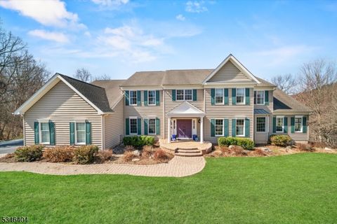 20 Morgan Dr Sparta Twp. NJ 07871