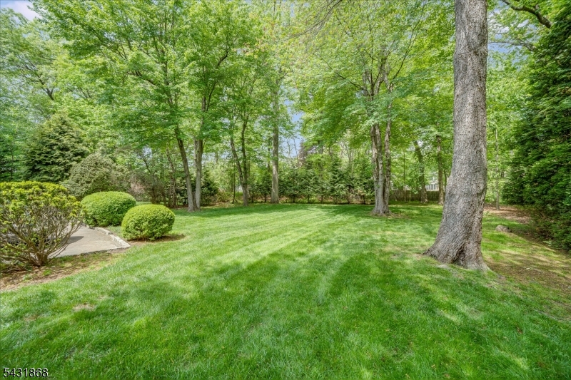 Brookhaven - Residential