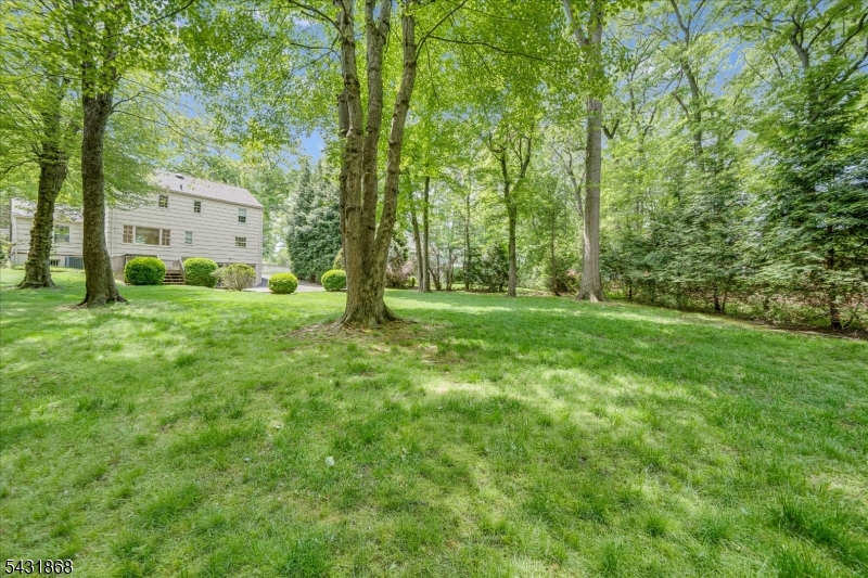 Brookhaven - Residential