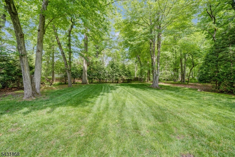 Brookhaven - Residential