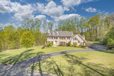 14 Jenny Ln, Vernon Twp., NJ 07461 - MLS#: 3960067