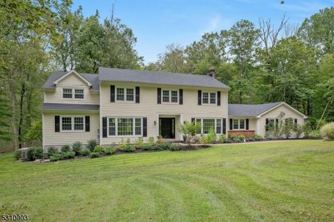 52 Mile Dr, Chester Twp., NJ 07930 - MLS#: 3921428