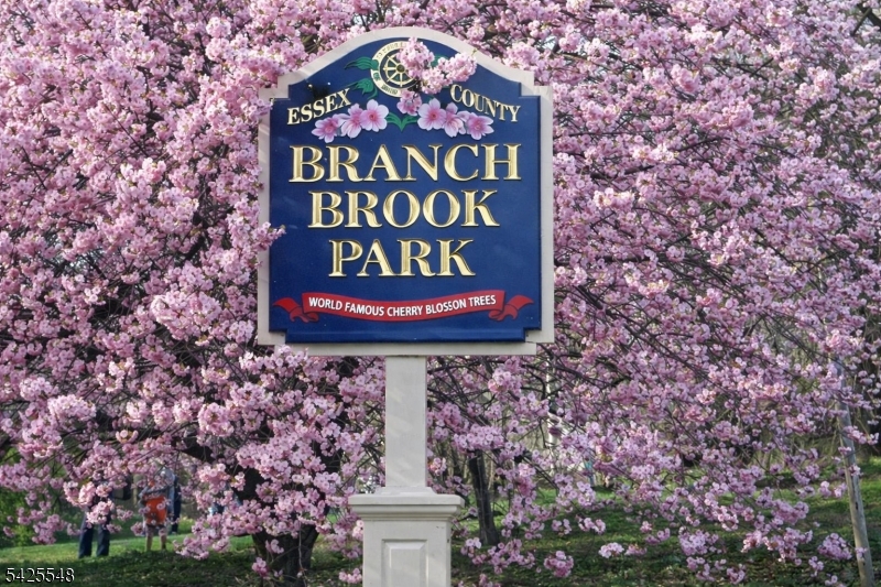 Ironbound - Commercial Sale