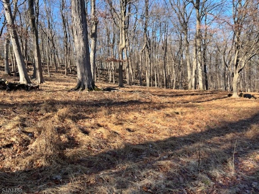 TWO SUBDIVIDED BUILDABLE LOTS APPROXIMATELY ONE ACRE EACH IN NORTH CALDWELL & CEDAR GROVE.  SEE SITE PLAN ATTACHED.  HOUSE ON ONE LOT NEEDS TO BE DEMOLISHED.  PURCHASER WILL REQUIRE ARCHITECTUAL DRAWINGS WITH HOMES TO BE BUILT APPROXIMATELY 4,000 TO 5,000 SQ FT.  PURCHASER TO RUN SEWER INTO CEDAR GROVE TOWNSHIP SEWER SYSTEM. PURCHASER TO DO THEIR OWN DUE DILLIGENCE.