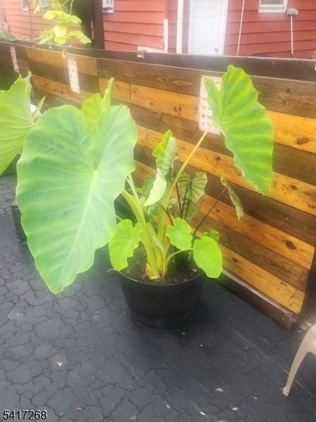 Weequahic - Residential Income