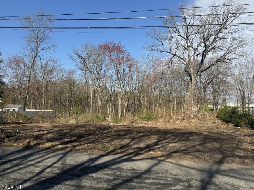 Shovel-Ready Opportunity in Prime Denville Location! Build your dream home pre fab or stick on this exceptional lot, fully approved for a 2,480 Sq ft colonial-style residence. This property is truly construction-ready, with plans and approvals already in place saving you valuable time, effort, and uncertainty. Situated on a desirable residential street, this lot offers the perfect blend of privacy and convenience, with close proximity to shopping, dining, major highways, and NJ Transit options for an easy commute. Public utilities available. Ideal for builders, investors, or end-users looking to customize their own home in a sought-after community.  Seller financing available for land construction. Don't miss this rare opportunity to break ground right away!