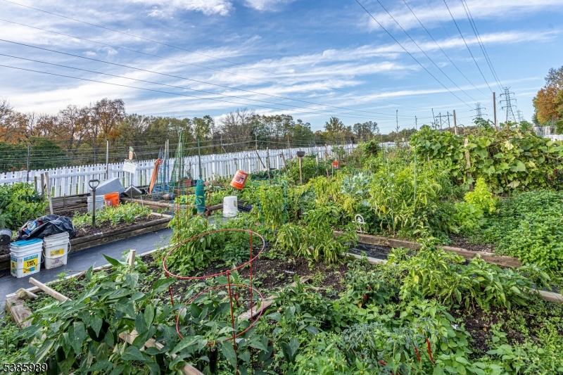 Warren Heights - Residential