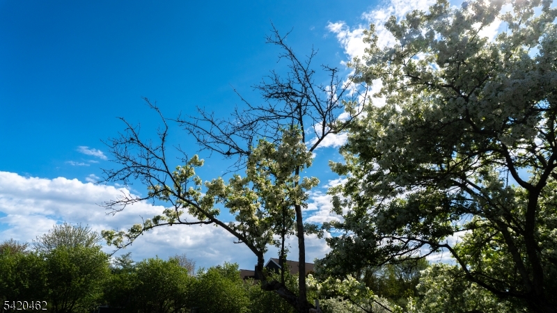 Crossroads Community - Residential