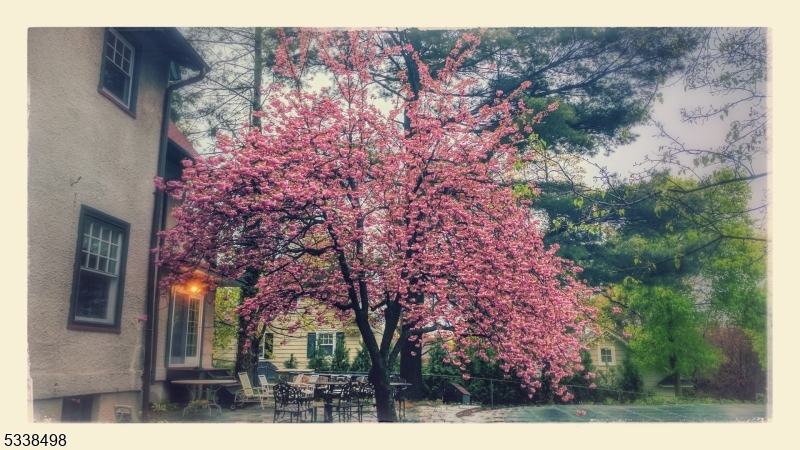 Old Short Hills - Residential