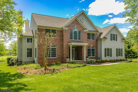 15 Bull Creek Ct Montgomery Twp. NJ 08558