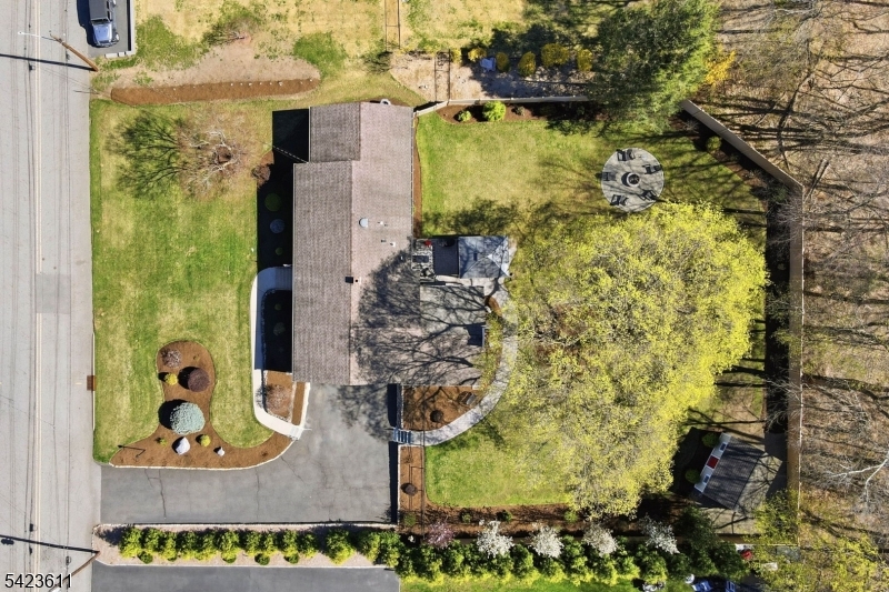 Dogwood - Residential