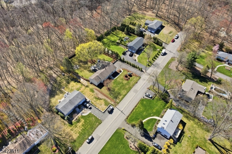 Dogwood - Residential