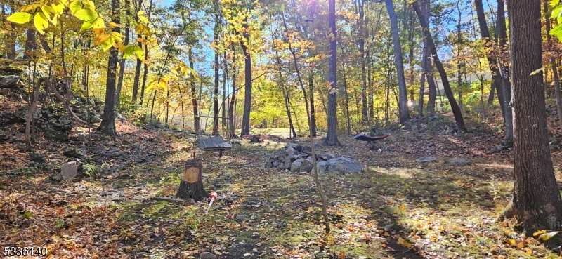 Lake Panorama - Residential Lease