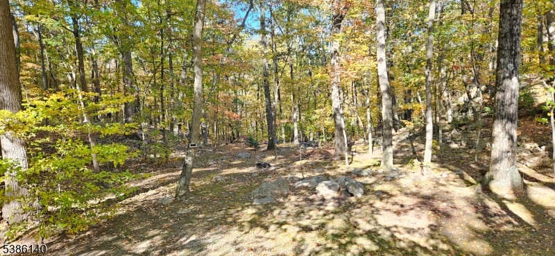 Lake Panorama - Residential Lease