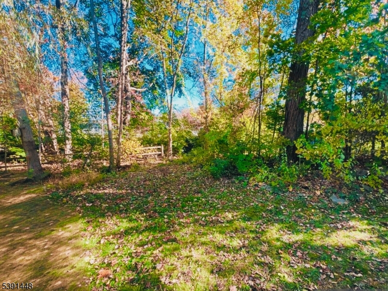 Lake Tamarack - Residential