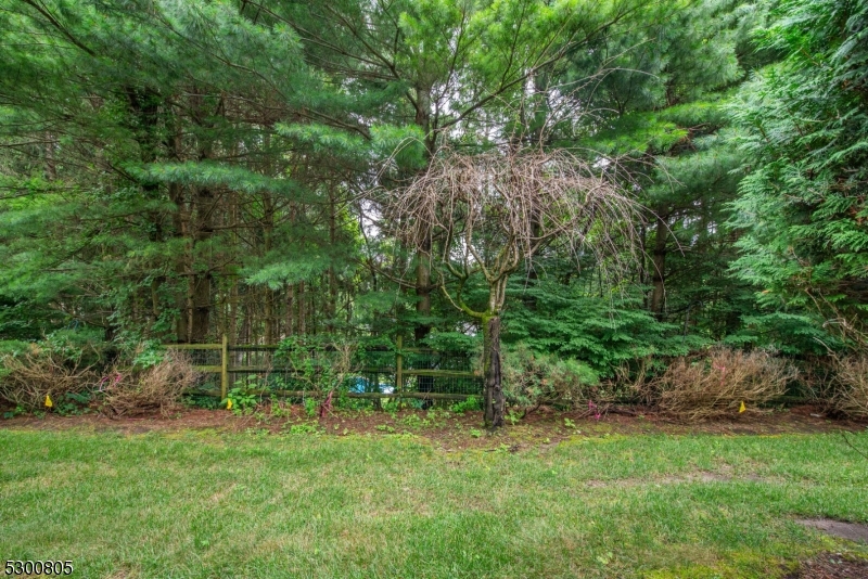 LONGVIEW - Residential