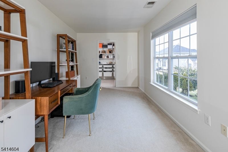 Carriage Gate - Residential