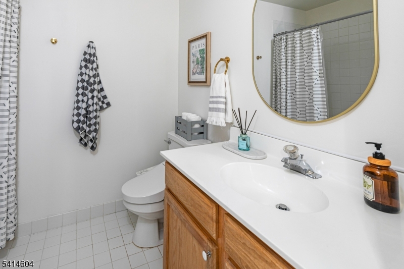 Carriage Gate - Residential