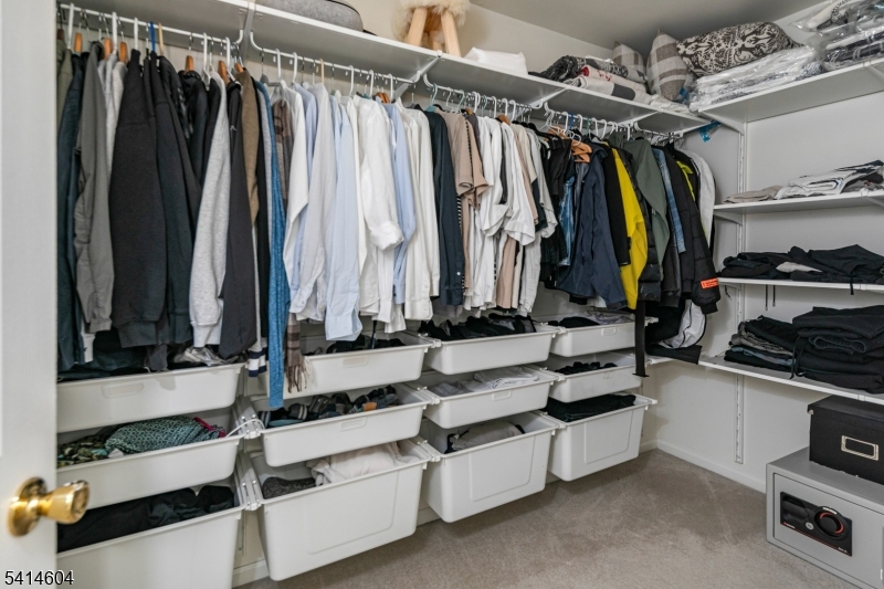 Carriage Gate - Residential