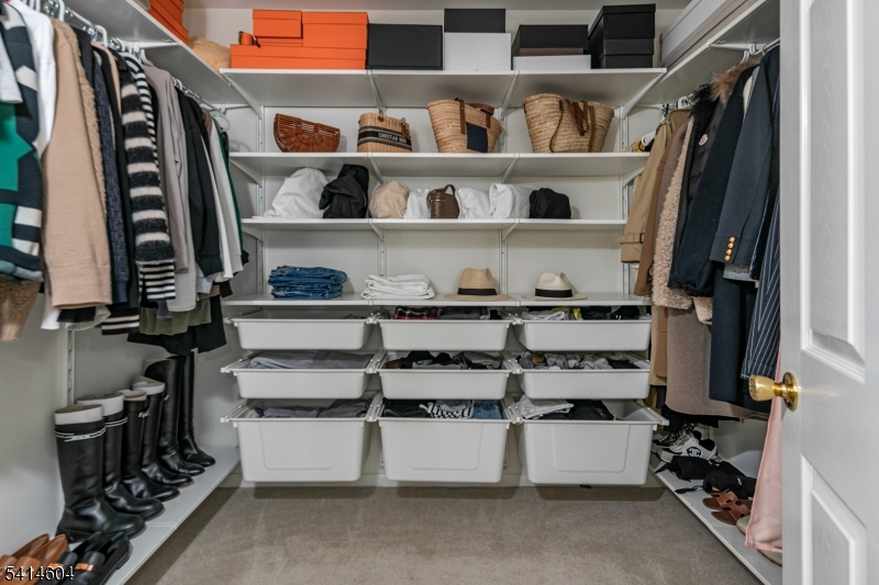 Carriage Gate - Residential