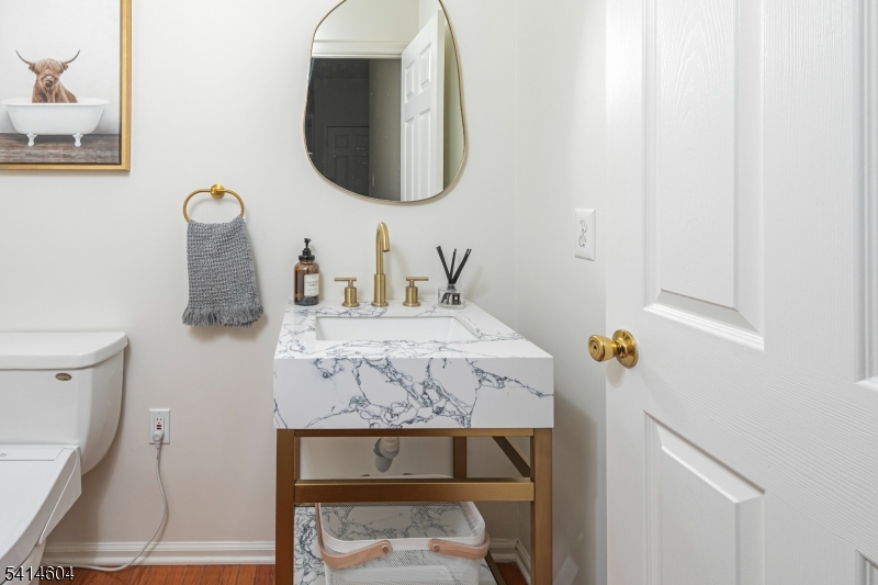 Carriage Gate - Residential