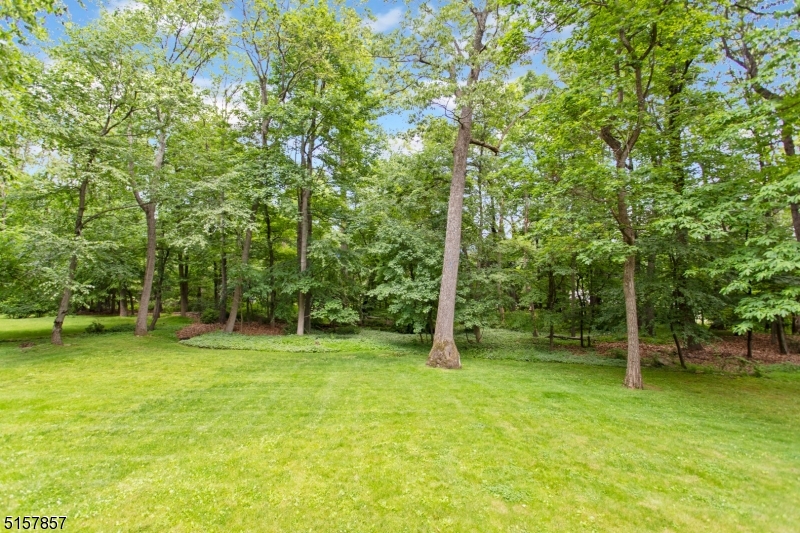 Washington Valley - Residential