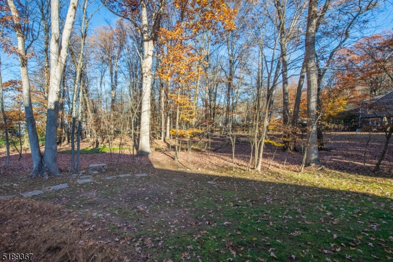 Shongum Lake - Residential