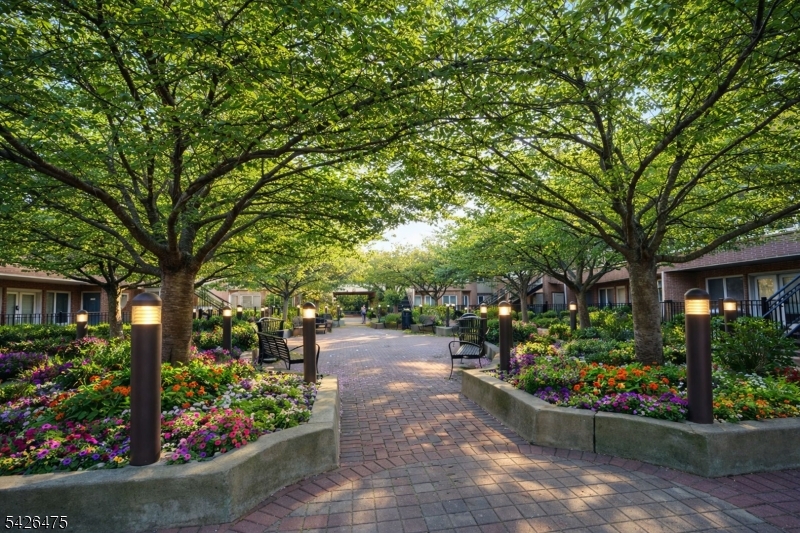 The Bayview - Residential