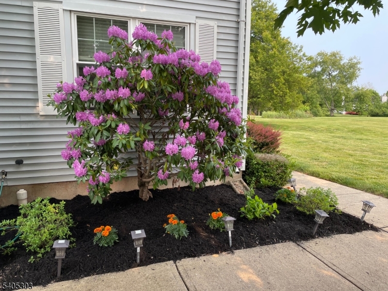 Olde Towne - Chambers Brook - Residential