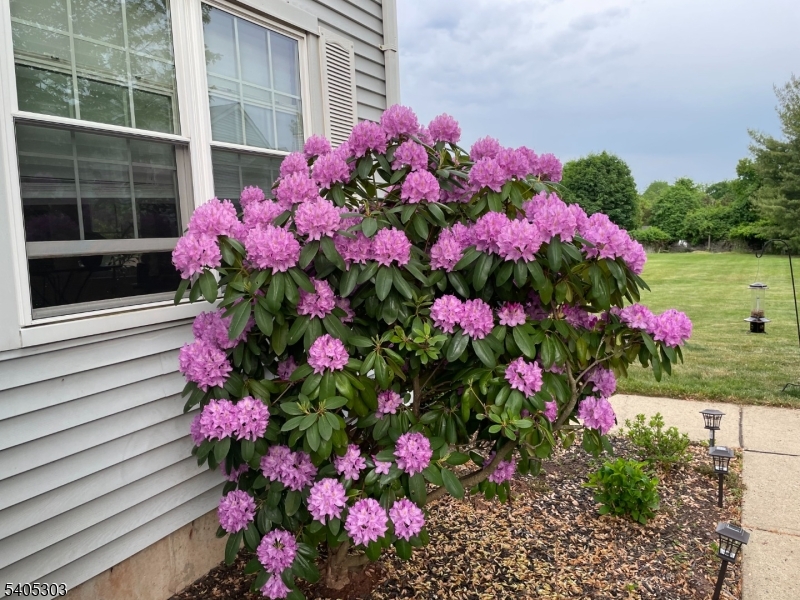 Olde Towne - Chambers Brook - Residential