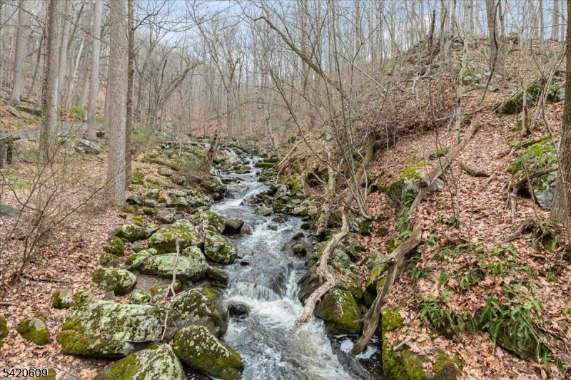 Teetertown Ravine - Residential
