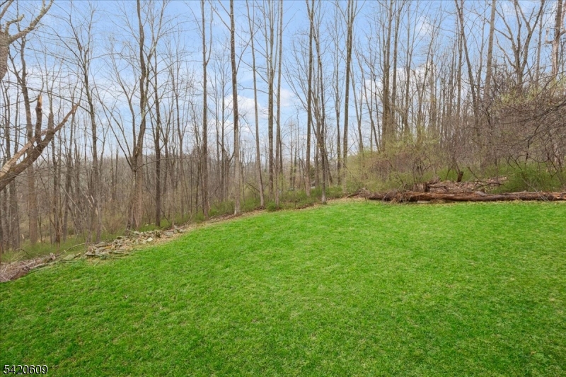 Teetertown Ravine - Residential