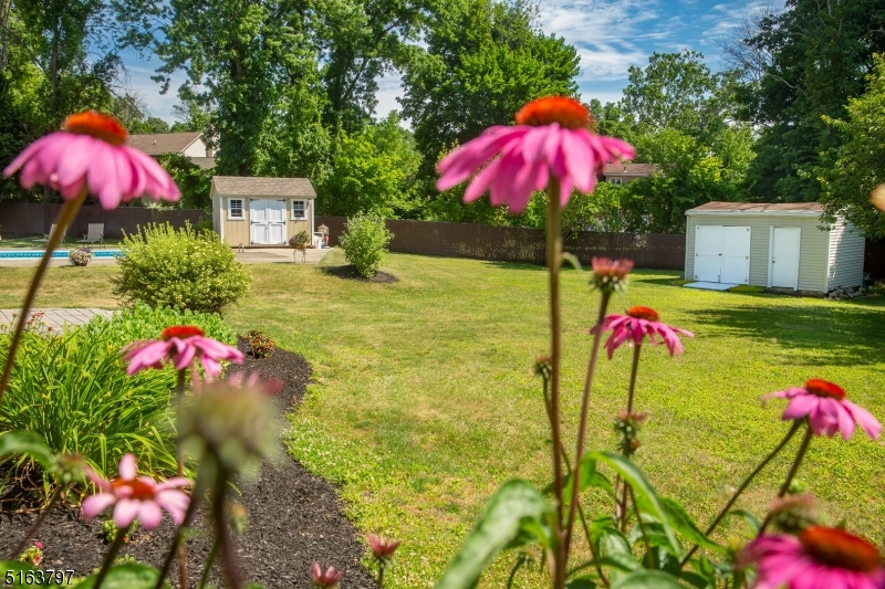 Ledgewood - Residential