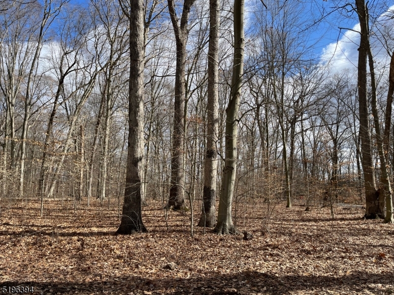 Singing Wood Farm - Land