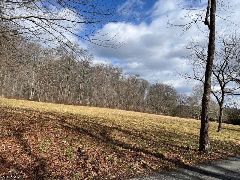 Singing Wood Farm - Land