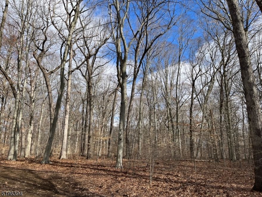 Build your dream home on this exceptional lot, "Beeches", part of Singing Wood Farm in New Vernon. The two 3-AC lots on right are owned by the Harding Land Trust. Natural gas & town water in street. Wonderfully located and Harding Township's low taxes.  Easy proximity to Morristown, Newark Liberty International Airport, Peck, Delbarton, Villa Walsh and Morristown-Beard Schools as well as the Harding Township School and Madison High School. Also conveniently located are equestrian facilities, golf courses, Morristown with numerous restaurants and cultural activities, train stations and the Mall at Short Hills.  Rollback taxes responsibility of buyer. Architectural Standards apply. Mailing address is Morristown 07960.