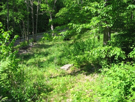 67 PIDGEON HILL RD, SUSSEX, NJ 07461 - Image 88ba8d9086cc0a73f0ddc0c4bb70b9f2/3358703368
