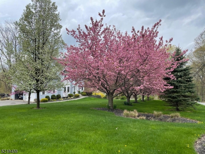 Long Valley Washington twp - Residential