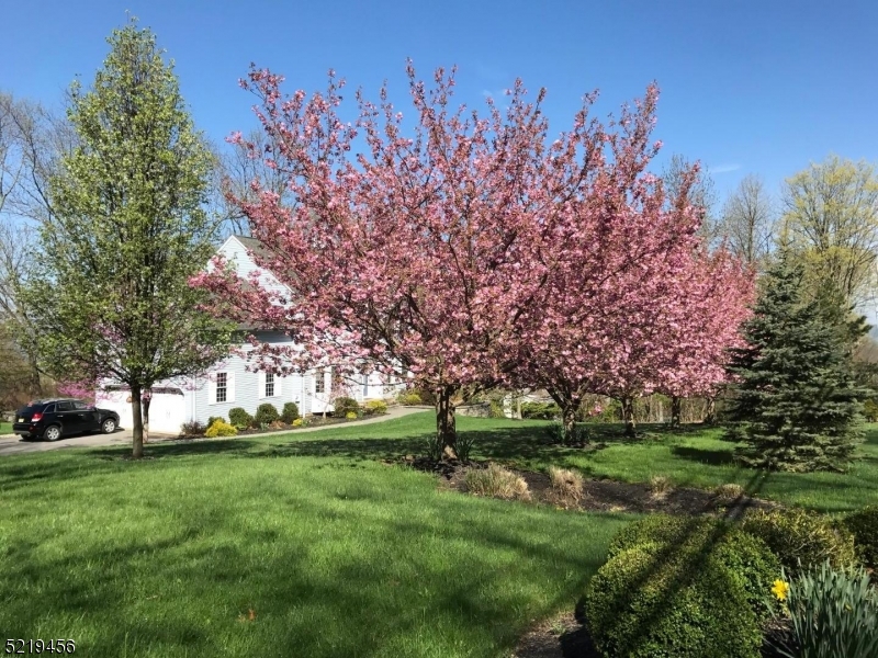 Long Valley Washington twp - Residential