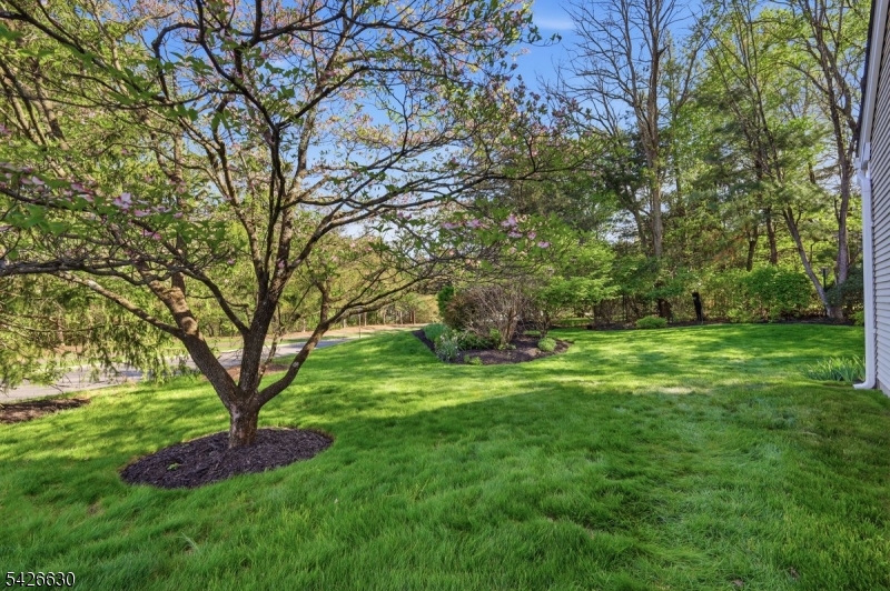 Lake Cushetunk - Residential