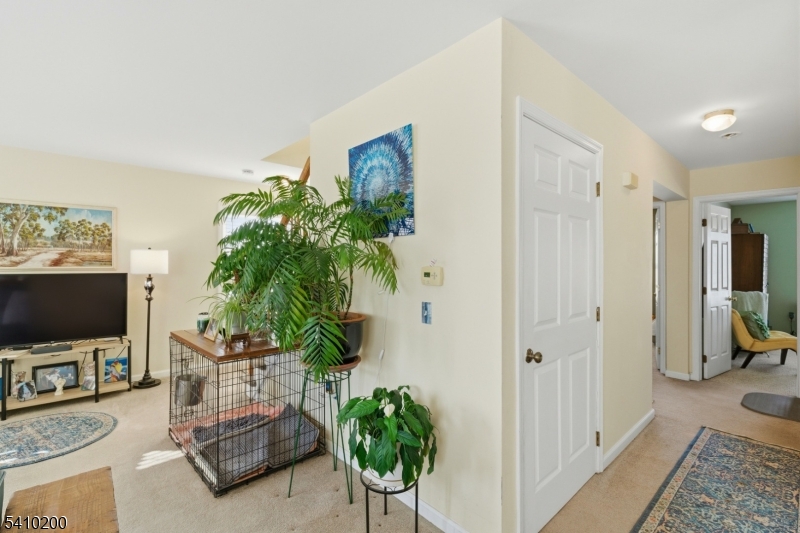 Little Egg Harbor - Residential